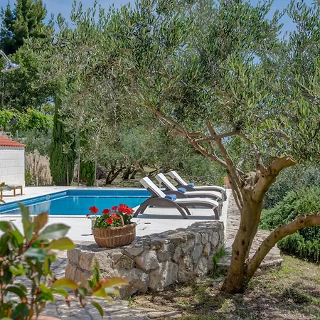 Bobica Split فيلة