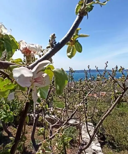 Bobica Split 빌라 Kaštela